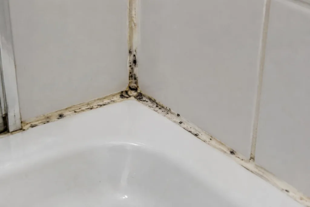 Kitbedrijf Kortenhoef – beschimmelde kitranden